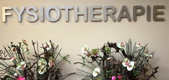 Fysiotherapie Vloon